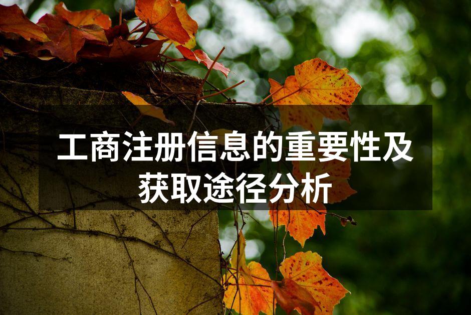工商注册信息的重要性及获取途径分析