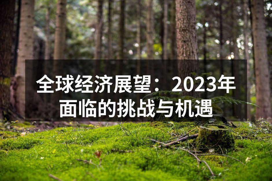 全球经济展望：2023年面临的挑战与机遇