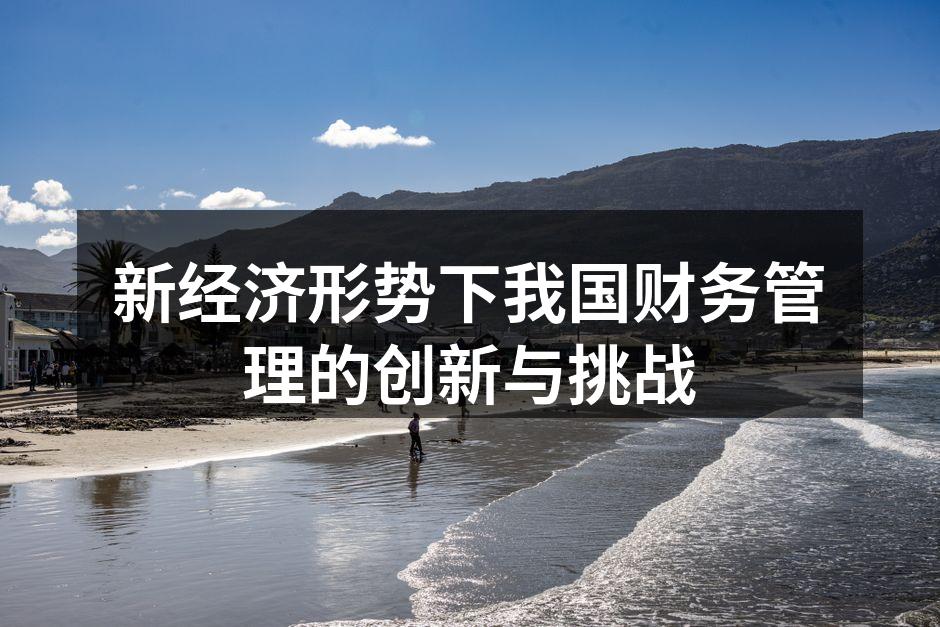新经济形势下我国财务管理的创新与挑战